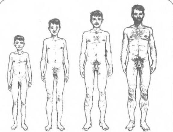 Ukuran penis tergantung usia